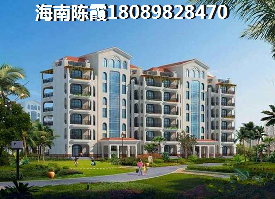 海南看林海的房子（海南省房价终于要跌了）