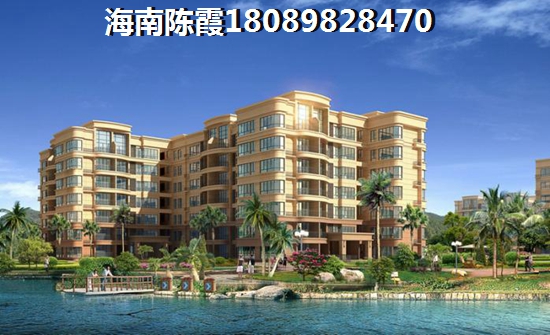 海南省买房究竟纸不纸得